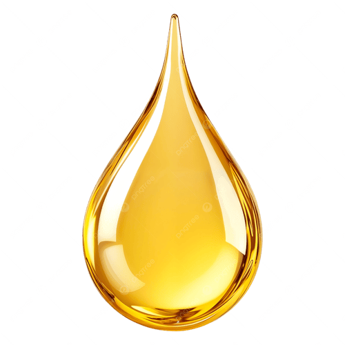 Organic Moroccan Argan Oil | ROYAL&BIO